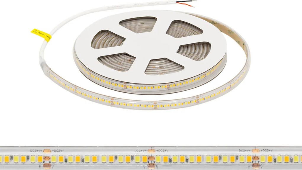Striscia LED CCT Bianco Variabile 24V 20W/m Professionale - IP67- 5 metri