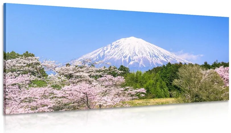 Quadro su tela – Monte Fuji