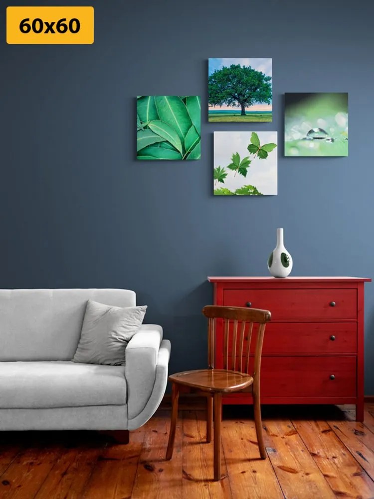 Set di quadri – Natura piena di verde