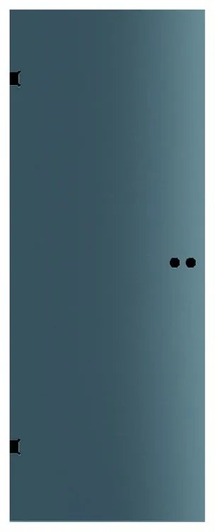 Anta in cristallo a battente Bora FumèL 70X H 210 cm, nero