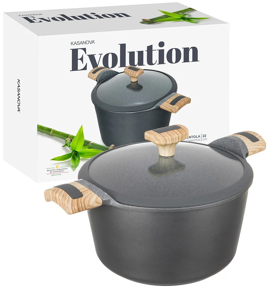 Pentola 22 cm con coperchio Evolution