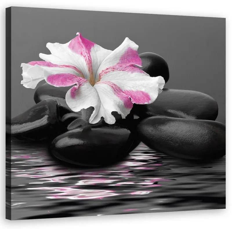 Quadro su tela, Stones Pink Flower Zen  Dimensioni 60x60