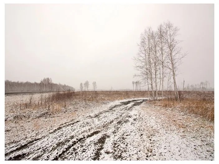 Fotomurale Winter field