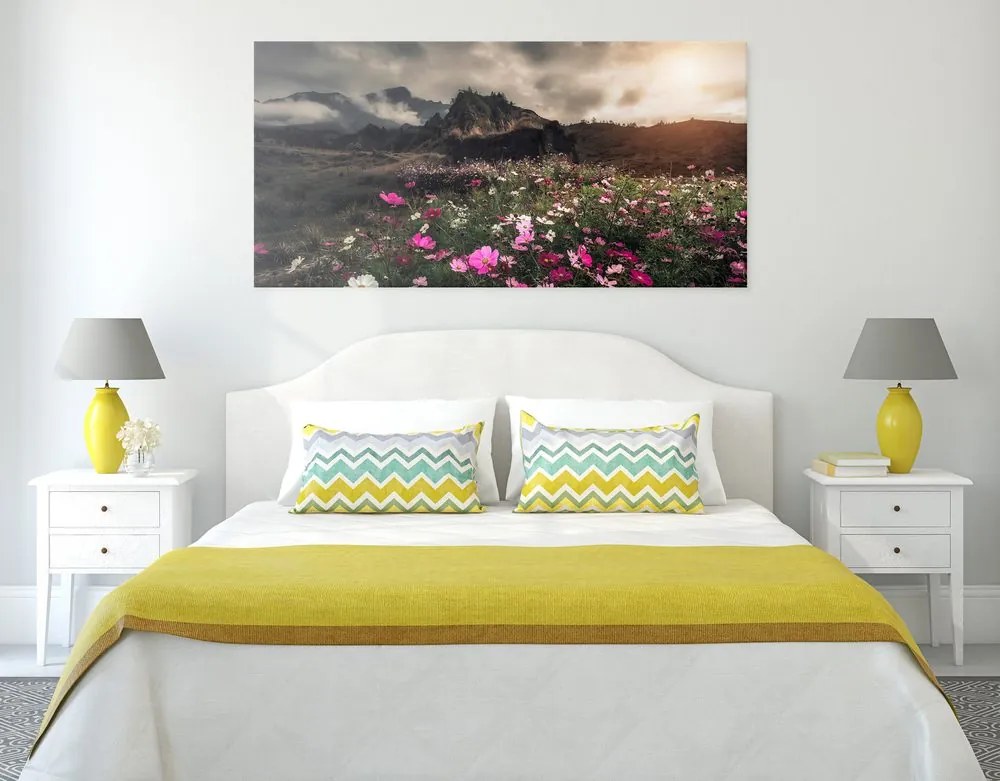 Quadro su tela – Prato di fiori in fiore