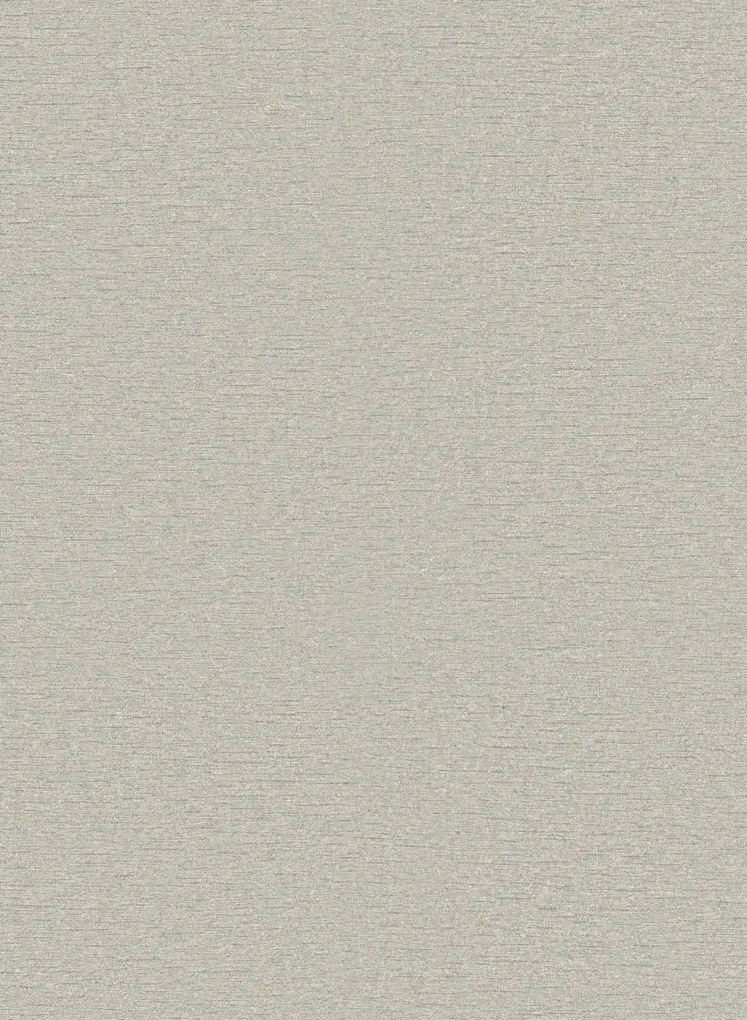 Omexco Carta da parati Silence - SIL24