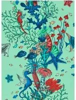Clarke & Clarke Carta da parati Seaforest - Aqua