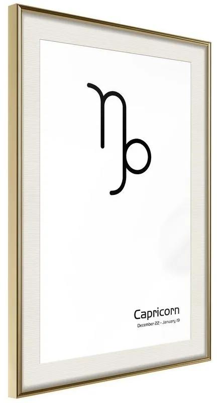 Poster Zodiac: Capricorn II