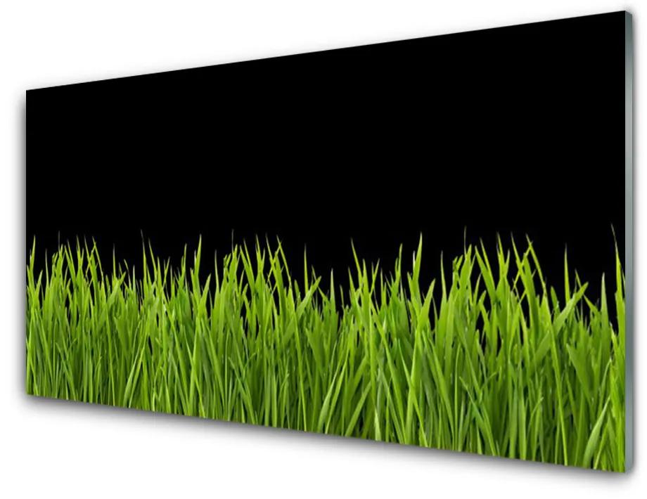 Quadro in vetro acrilico Natura dell'erba verde 100x50 cm