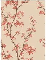 Cole & Son Carta da parati Chinese Branch - Ginger