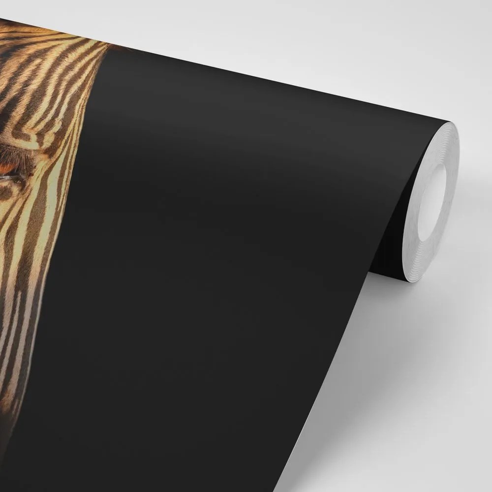 Carta da parati – Ritratto di zebra