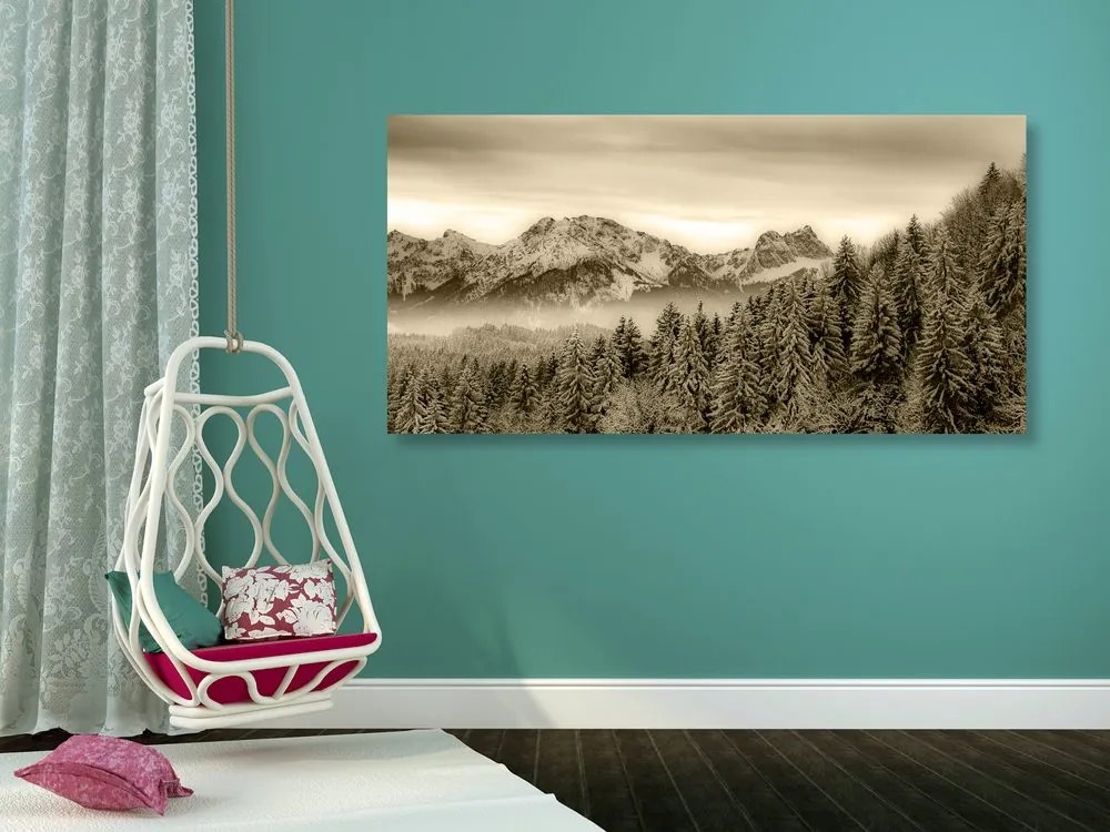 Quadro su tela – Montagne congelate in seppia