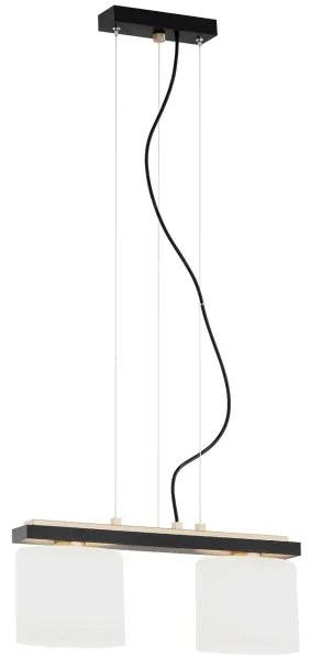 Argon 7164 - Lampadario a sospensione con filo CANOA 2xE27/15W/230V nero
