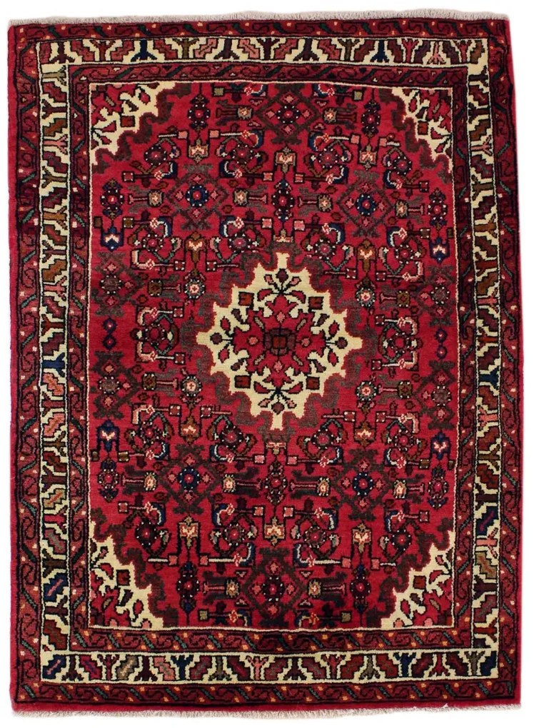 Hamedan Tappeto 160 x 110 (Iran)