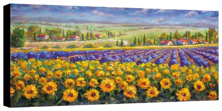 Stampa su tela Countryside paint, multicolore 140 x 70 cm