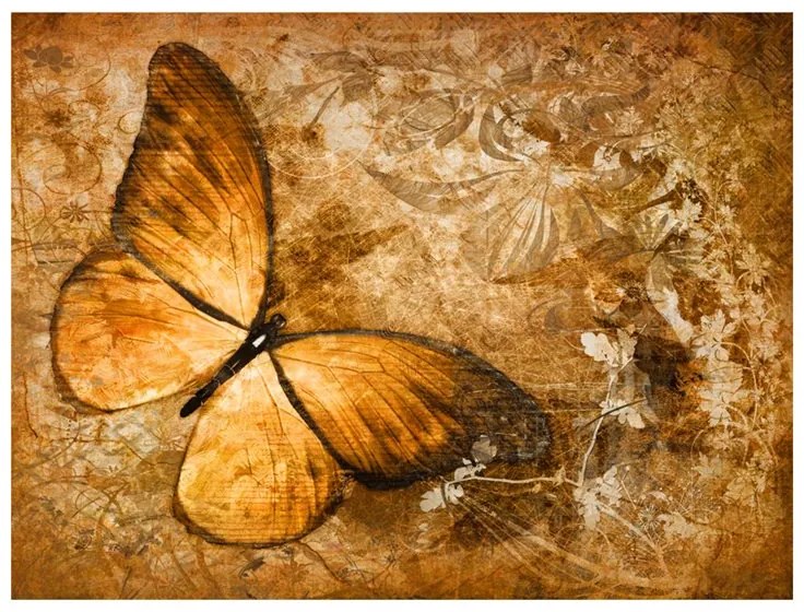 Fotomurale  butterfly (sepia)  Colore Beige, Dimensioni e Misure 350x270