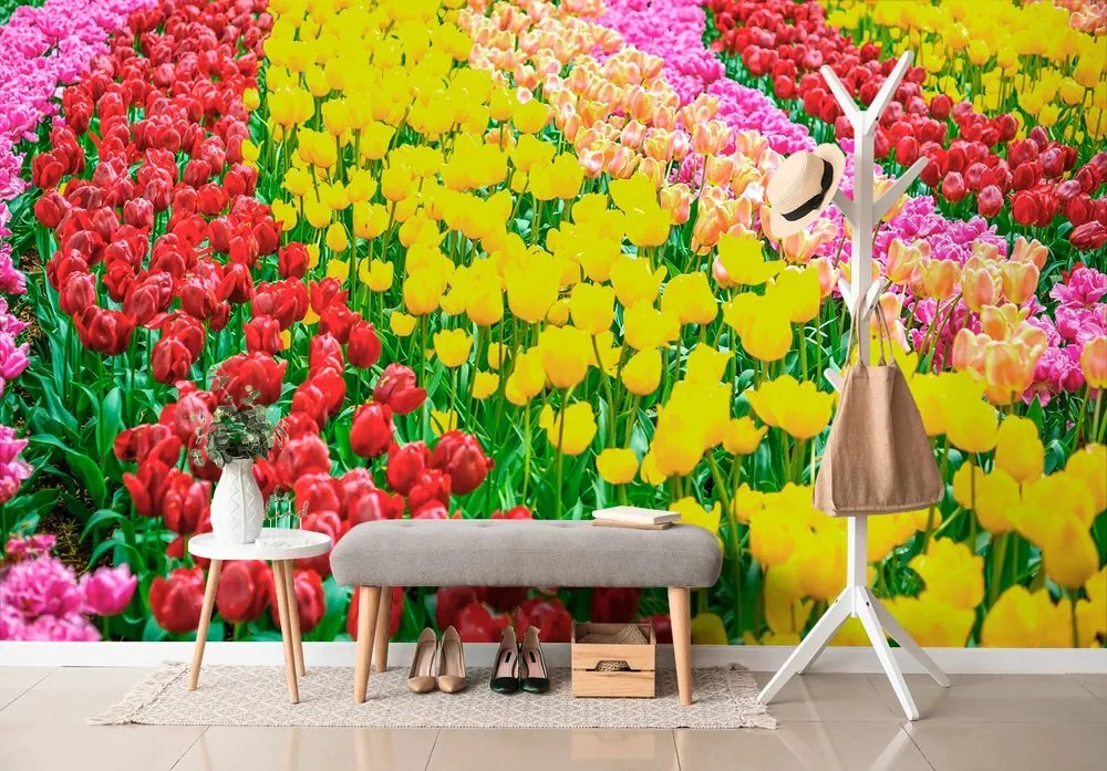 Carta da parati autoadesiva – Giardino pieno di tulipani
