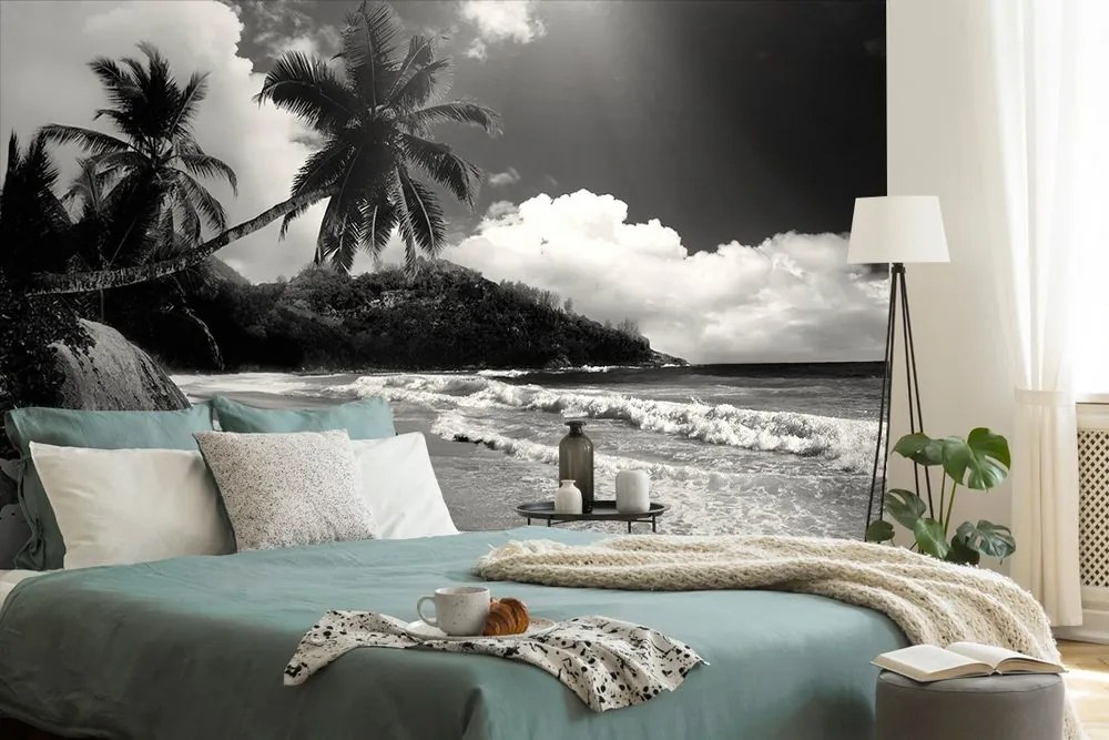 Carta da parati – Spiaggia sull'isola di Seychelles in bianco e nero