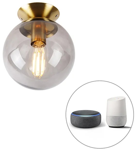 Lampada da soffitto intelligente in ottone con vetro fumé incl. Wifi ST64 - Pallon