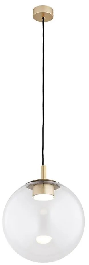 Argon 8828 - Lampadario a sospensione con filo SACRAMENTO 1xGX53/8W/230V limpido/oro