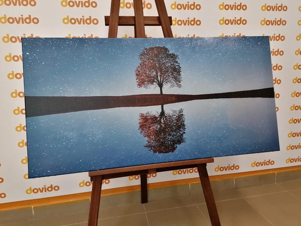 Stampa su tela – Cielo stellato sopra un albero solitario