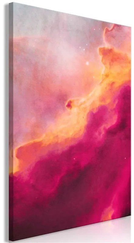 Quadro Pink Nebula (1 Part) Vertical  Colore Rosa, Dimensioni e Misure 40x60