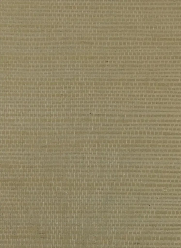Armani Casa Tapete Rafia Plain - 9361
