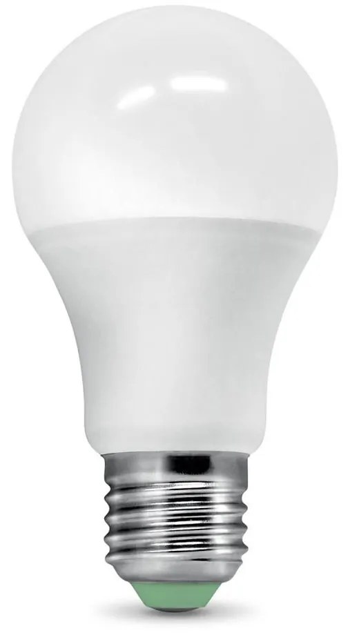 Lampadina LED con sensore crepuscolare ECOLINE A60 E27/9W/230V 3000K -  Brilagi