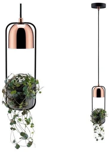 Paulmann 79749 - 1xGU10/20W Lampadario su filo FANJA 230V