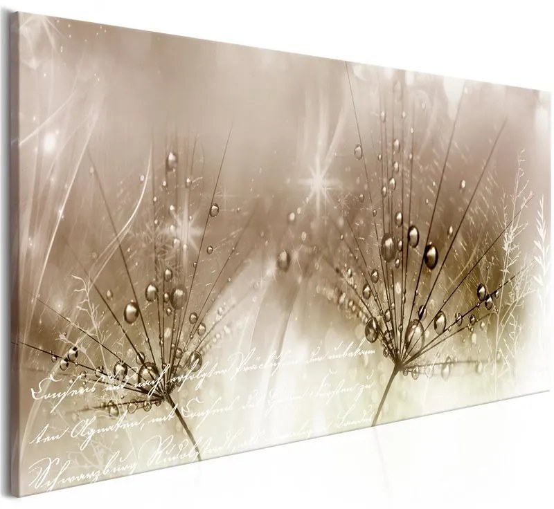 Quadro Drops of Dew (1 Part) Brown Wide  Colore Bianco, Dimensioni e Misure 100x45