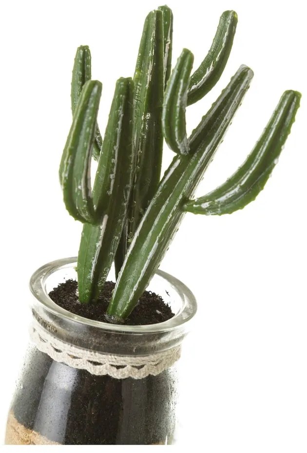 Piante artificiali in set da 4 (altezza 18 cm) Cactus - Casa Selección