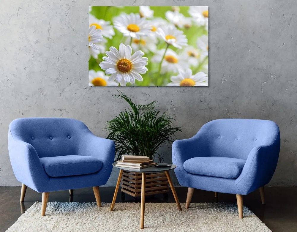 Stampa su tela – Prato primaverile pieno di fiori