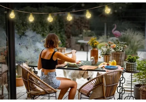 Globo 33694-10 - LED Solare catena decorativa 50xLED/0,06W/3,2V IP44