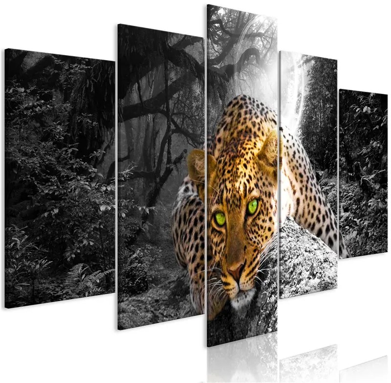 Quadro  Leopard Lying (5 Parts) Wide Grey  Colore Bianco, Dimensioni e Misure 200x100