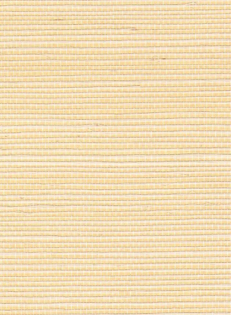 Élitis Carta da parati Sisal Métallique - RM 1073 91