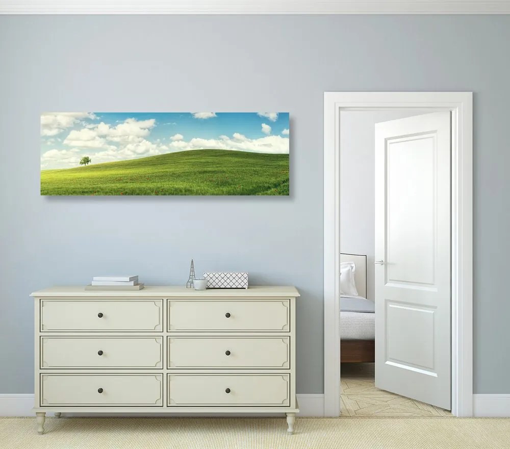 Quadro su tela – Splendido giorno sul prato