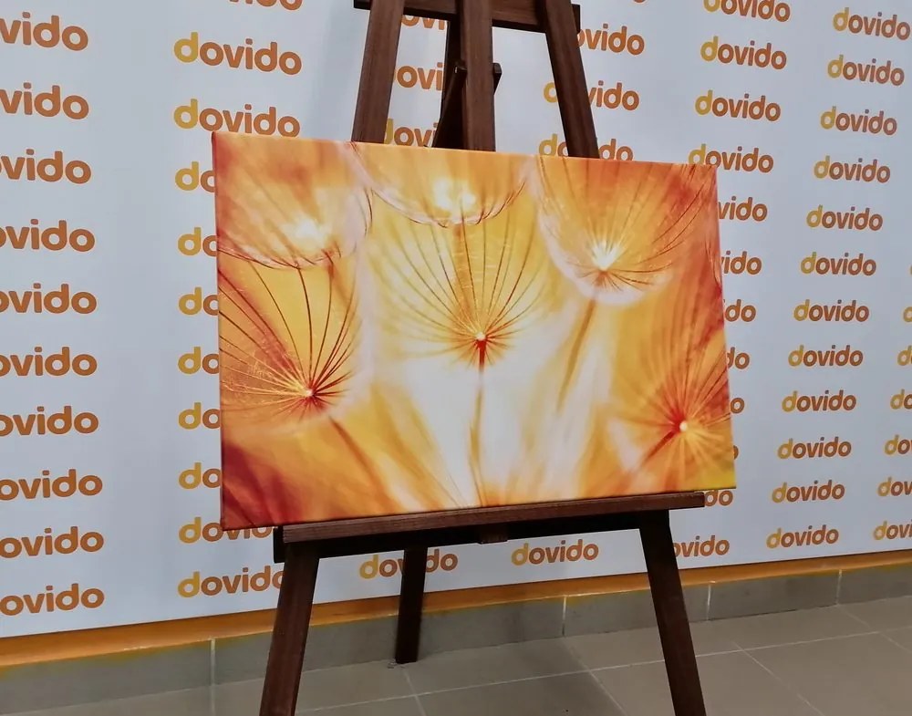 Quadro su tela – Soffione in splendida esecuzione