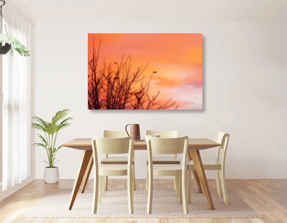 Quadro su tela – Cielo colorato