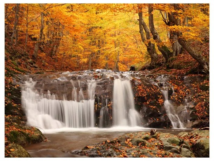 Fotomurale  Autumn landscape : waterfall in forest  Colore Marrone, Dimensioni e Misure 250x193