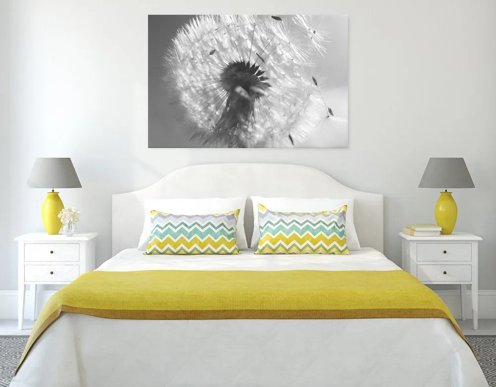 Quadro su tela – Dettaglio del soffione in bianco e nero