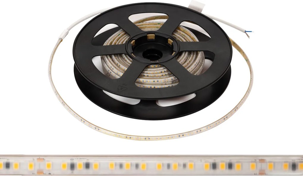 Striscia LED 220V 16W/m IP66 Dimmerabile Professional - Taglio 10cm – 50m