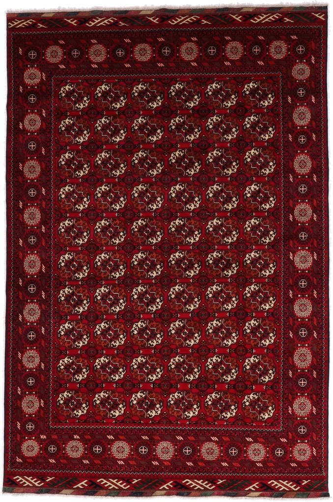 Afghan Tappeto 200 x 290 (Afghanistan) Annodato A Mano