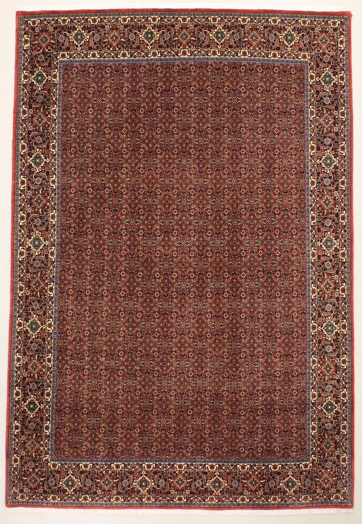 Bidjar Tappeto 290x200 (Iran) Annodato A Mano