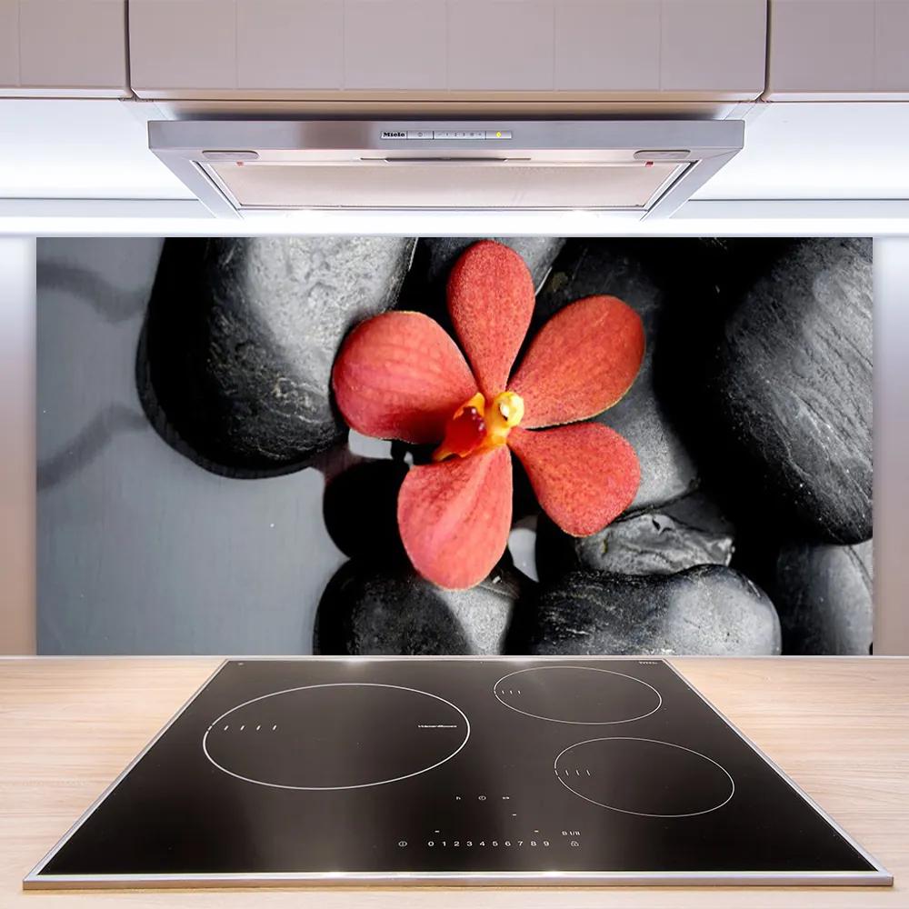 Pannello paraschizzi cucina Pietre di fiori Art 100x50 cm