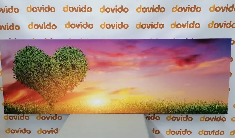 Stampa su tela – Albero a forma di cuore nel prato