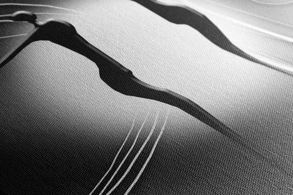Quadro su tela – Amore etnico in bianco e nero