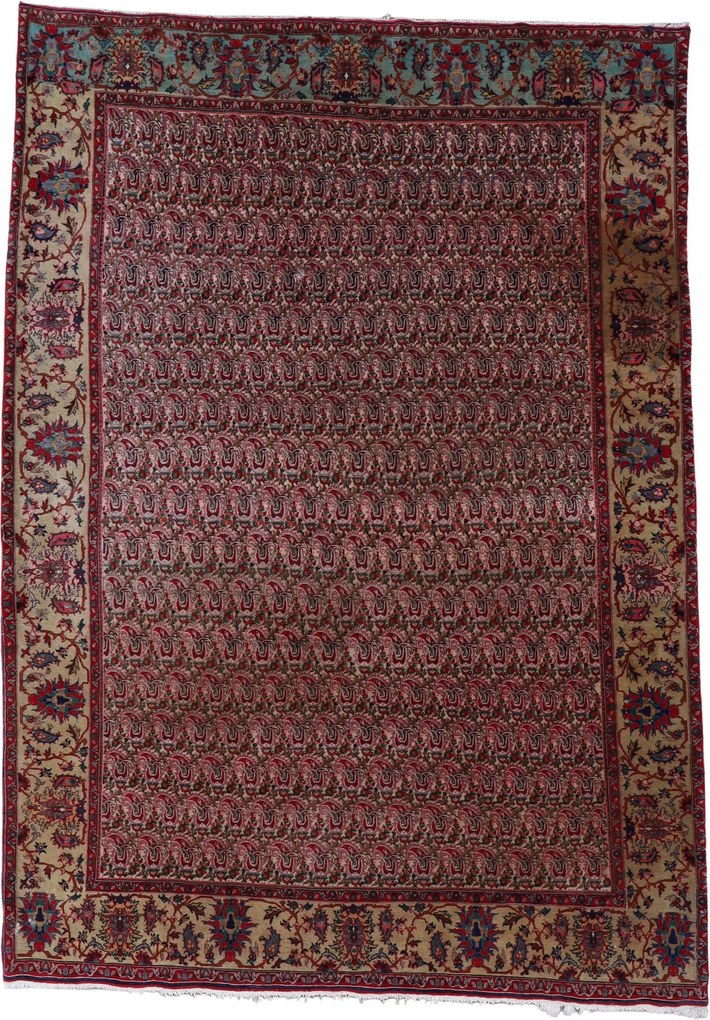 Bidjar Tappeto persiano 310x220 (Iran) Annodato A Mano
