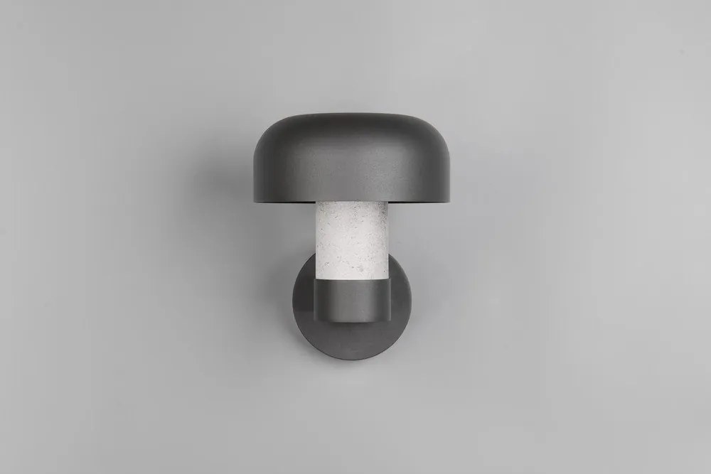 Illuminazione esterna da parete (altezza totale 24,5 cm) Fraser – Trio