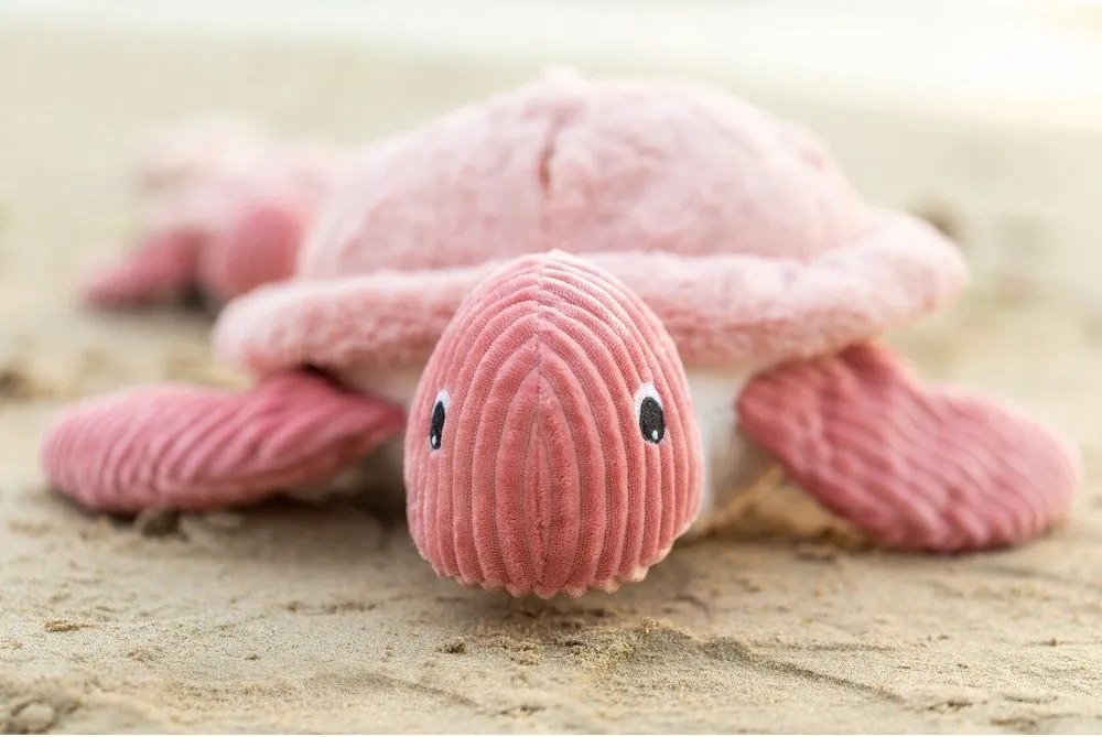 Set di peluche 2 pz Ptipotos Savenou – Les Deglingos