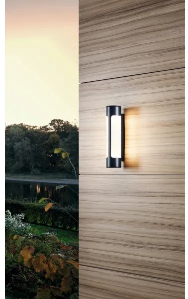 Eglo 97119 - Applique a LED da esterno TONEGO 2xLED/6W/230V