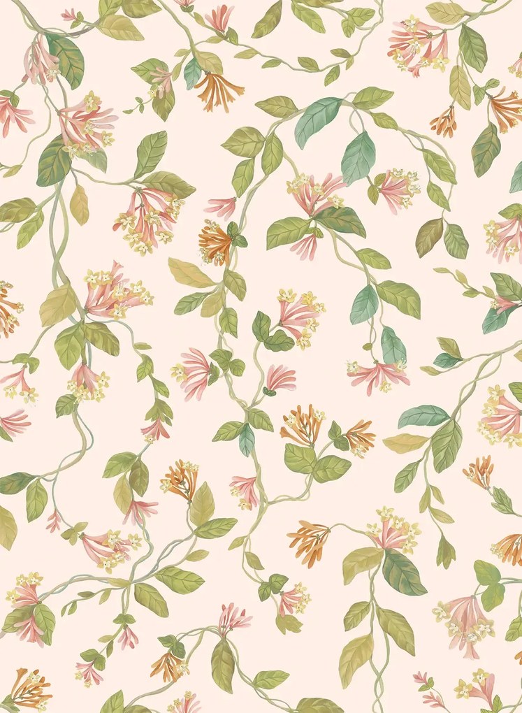 Cole & Son Carta da parati Flora - Tangerine/ Olive on Blush